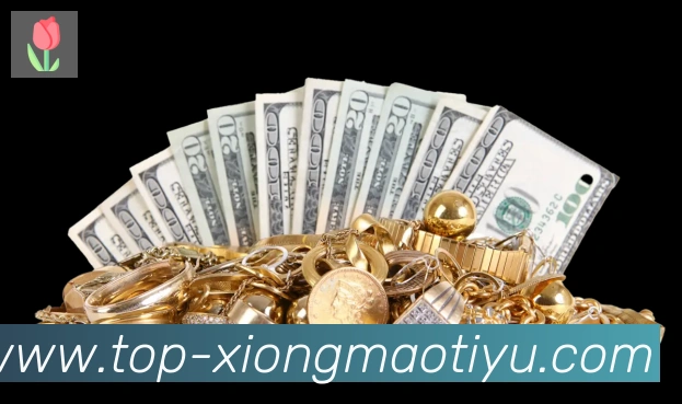 未来规划